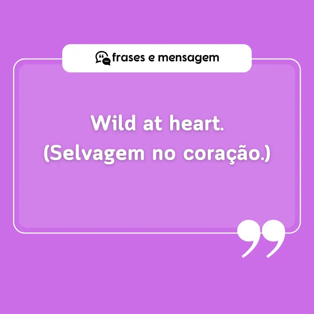 imagem mostrando frases em inglês para bio